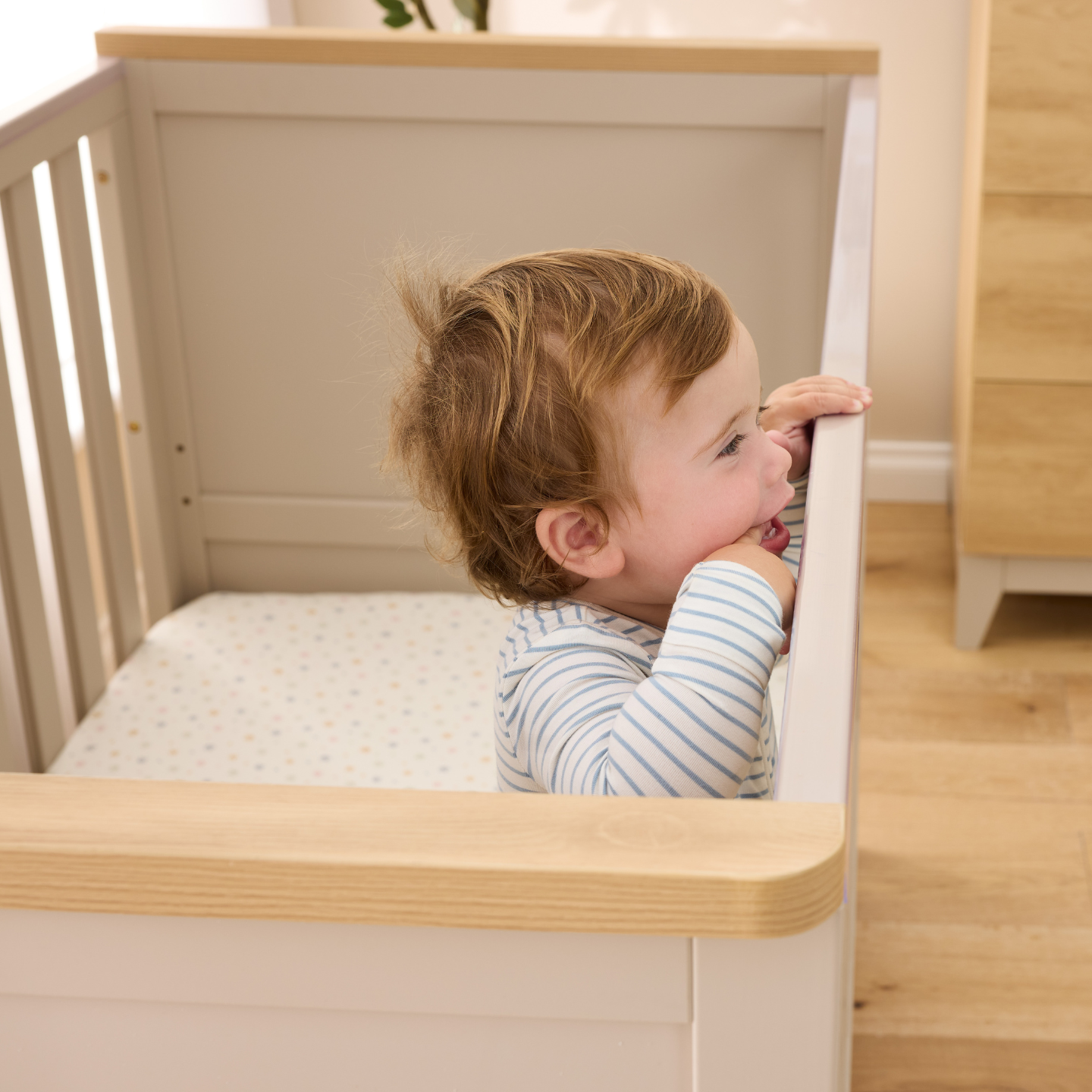 Misha Cot in Mushroom & Golden Oak